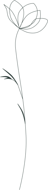 Img 07 e1753262053707.png